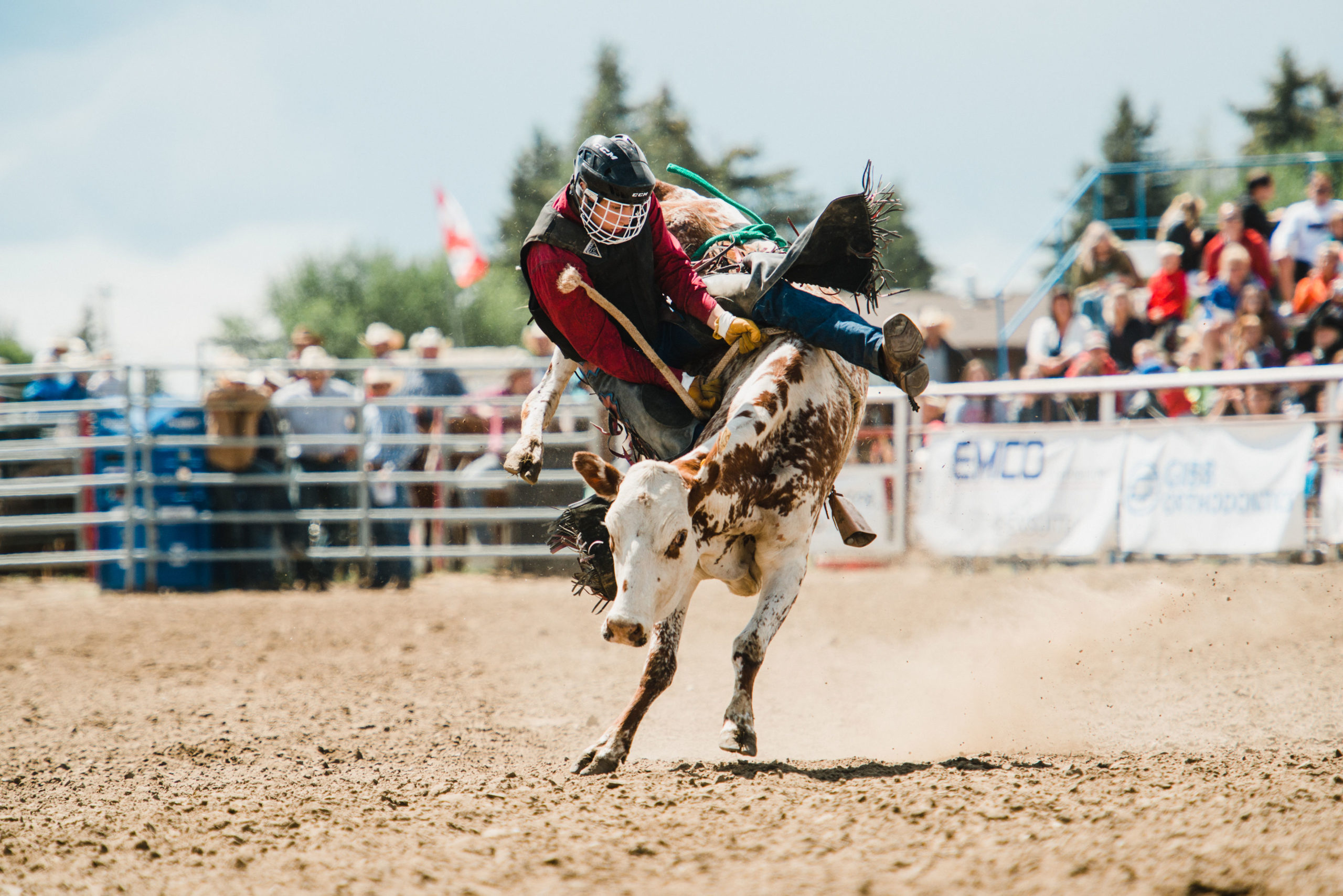 Delving into the Rich Tapestry: Southern Alberta’s Cultural and Historical Legacy